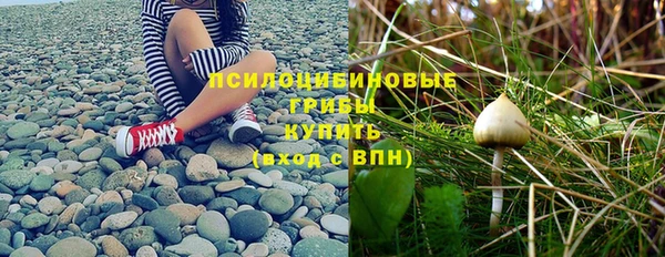 гидропоника Абаза
