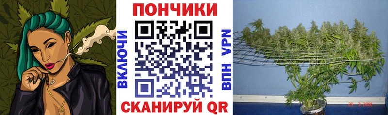 МАРИХУАНА семена  магазин  наркотиков  Прокопьевск 
